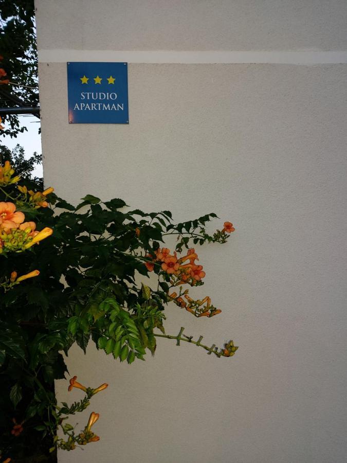 Studio Apartman Kotro Beli Manastir 外观 照片