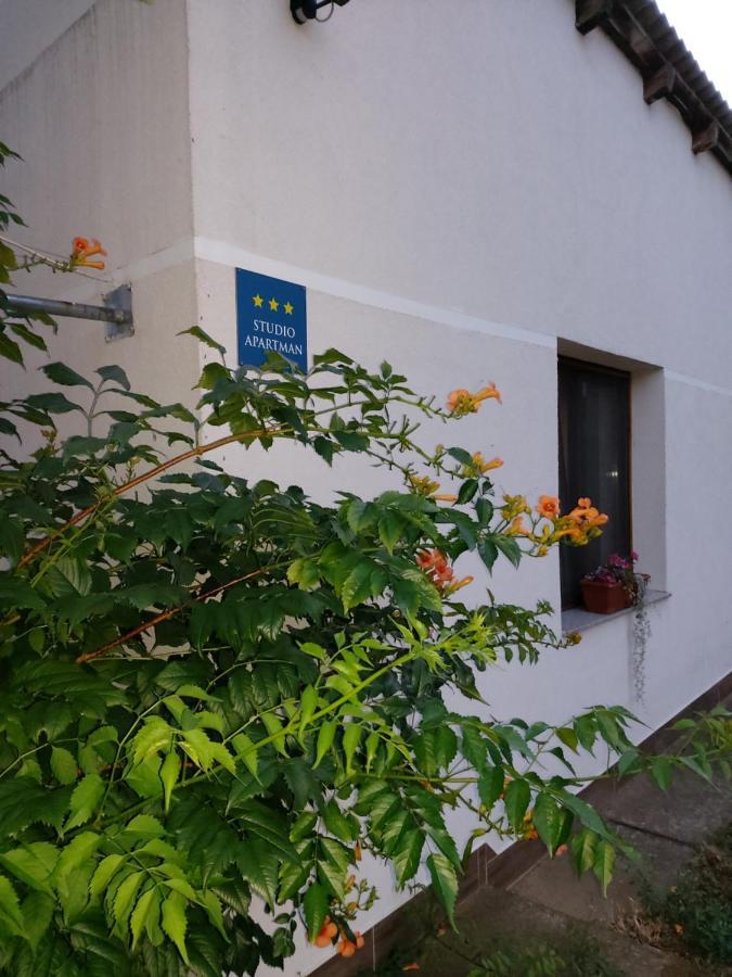 Studio Apartman Kotro Beli Manastir 外观 照片