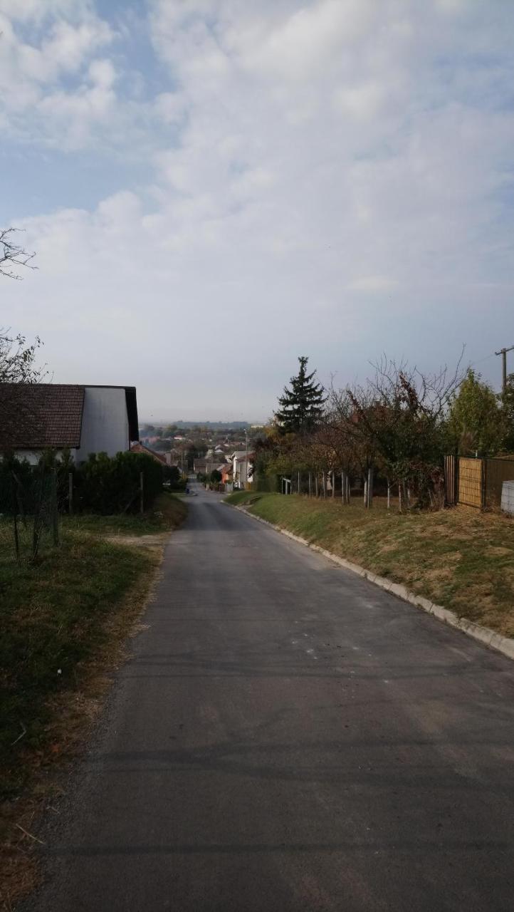 Studio Apartman Kotro Beli Manastir 外观 照片