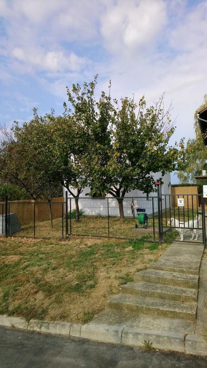 Studio Apartman Kotro Beli Manastir 外观 照片
